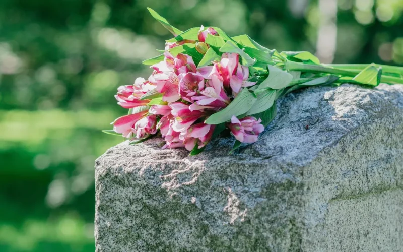 czystegroby-cmentarz-radomsko-6